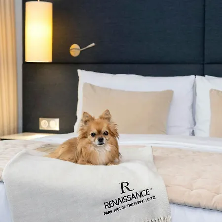 Renaissance Paris Arc de Triomphe Hotel-2
